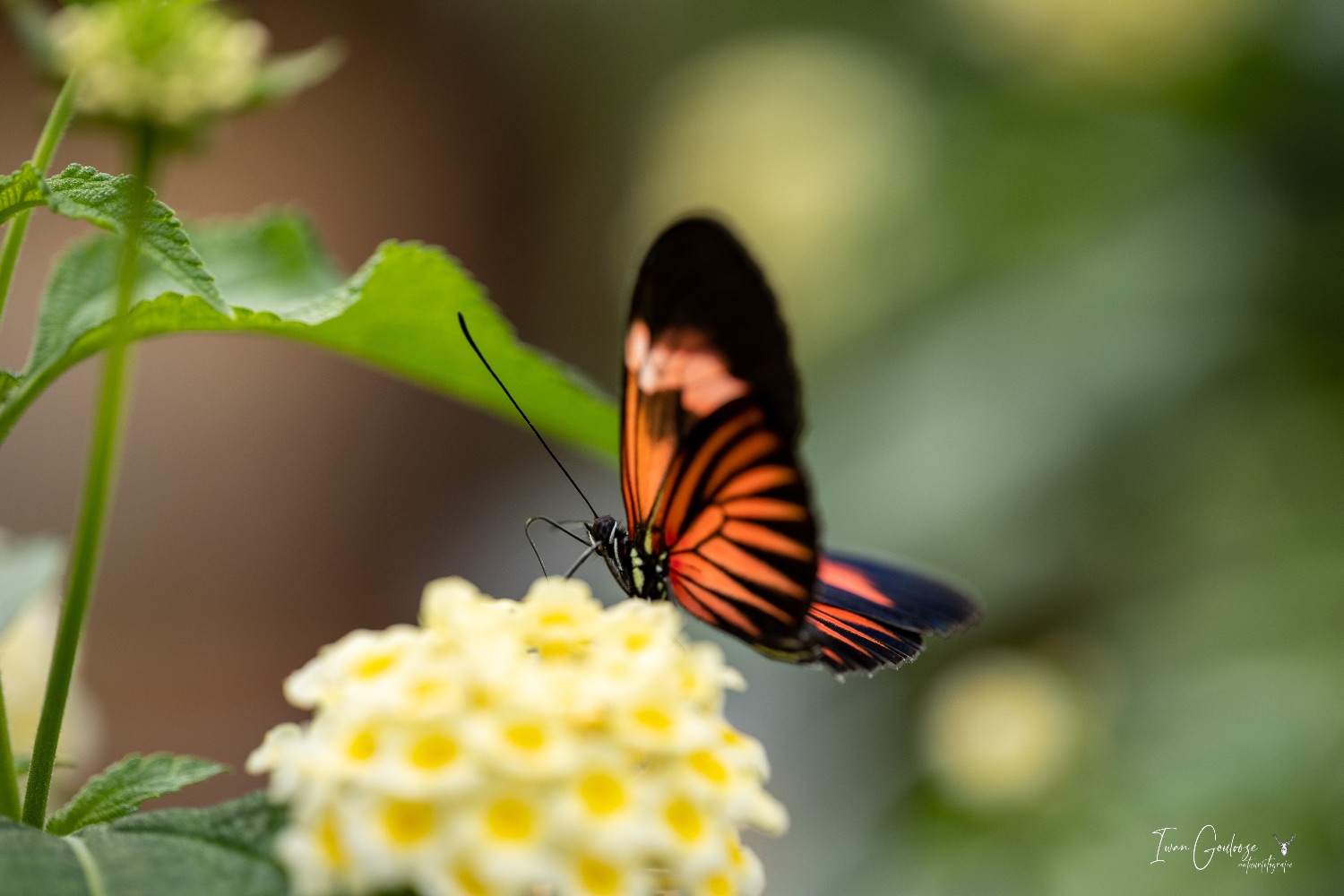  R2A2963 28 mei 2023 1401 57